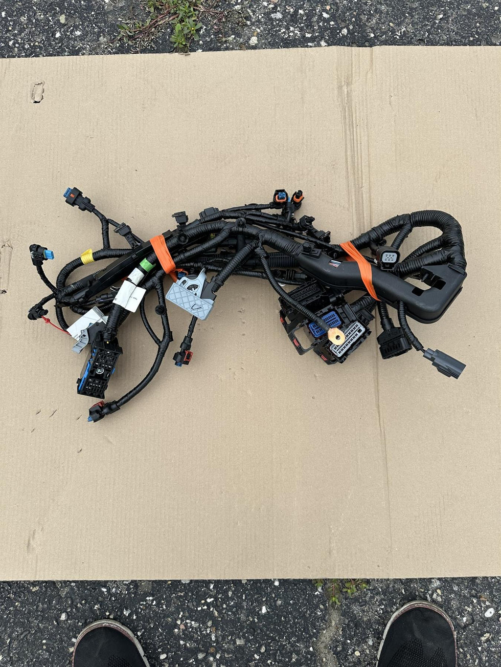 Genuine GM 95282799 Wire Harness OEM Genuine Replacement