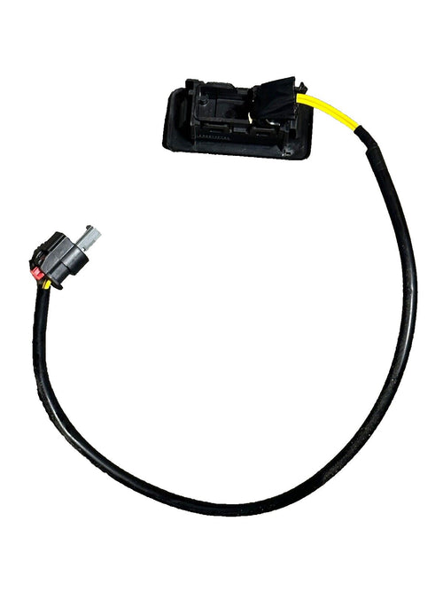 19 - 23 CHEVY SILVERADO MULTIFLEX PRIMARY TAILGATE RELEASE SWITCH OEM BRAND NEW