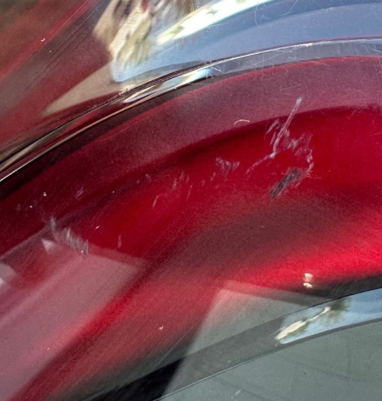 OEM | Tail Light Assembly Driver Side Fits 2020-2024 CT5 GM 87864508