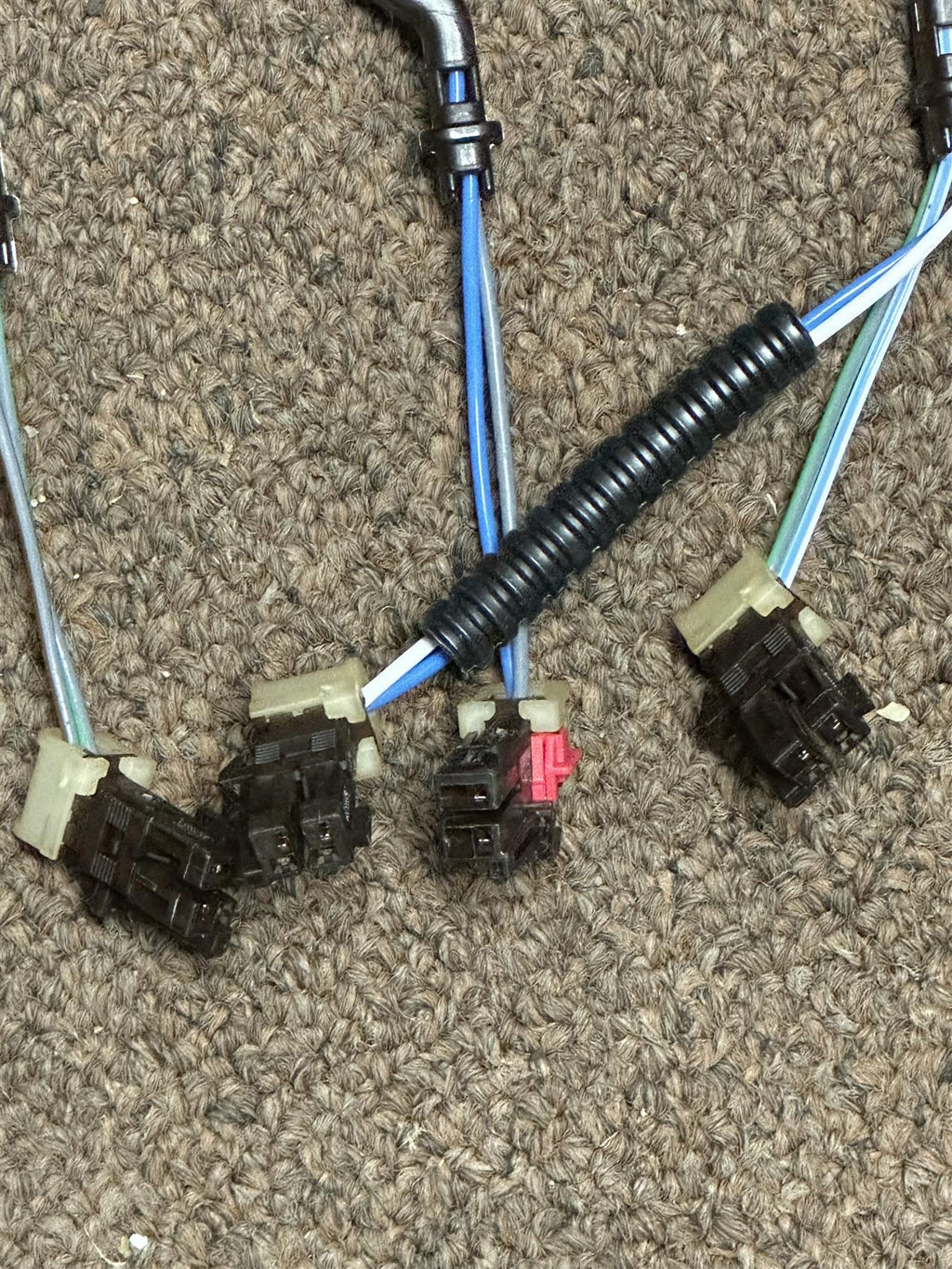 Genuine OEM GM Electrical Wiring Assembly 24042661 Factory Connector Part