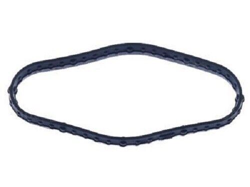 Case of Ford Fuel Pump Gasket HL3Z-9417-A Fits 2017-21 Ford Vehicles